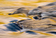 fall colors on running river fall colors on running river