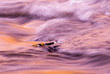 turbulent river at sunset turbulent river at sunset