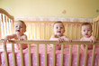 three baby girls