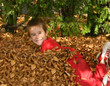 boy in fall leaves boy in fall leaves