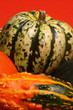 fall pumpkins and squash #1 fall pumpkins and squash #1