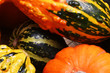 fall pumpkins and squash #2 fall pumpkins and squash #2