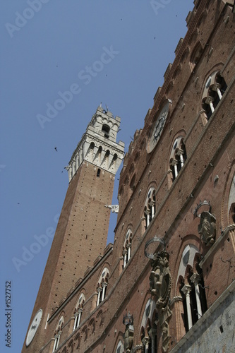 siena siena