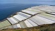 greenhouses