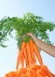 vitamines
