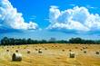 reaped field and straw rolls