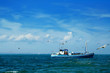 fishing boat and seagulls