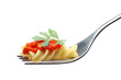 pasta and tomato sauce pasta and tomato sauce