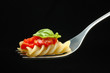 italian pasta italian pasta