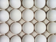 01_eggs