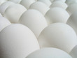 00_eggs