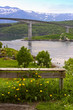 bridge summertime  (north of the polar circle)