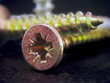 tornillos tornillos