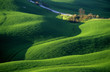 toscane28