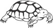 angry turtle