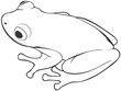 little frog