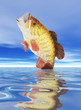 canvas print picture fish on lure