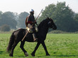 norman knight on horseback norman knight on horseback