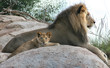 father and son
