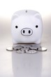 Foto: piggy bank piggy bank