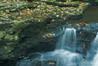 small water cascade with rock ledge and fall leave
