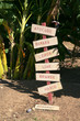 Vegetable And Fruit Sign