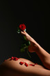 canvas print picture fuss mit rose