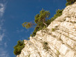 rocky coast of black sea