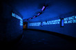 words in black light