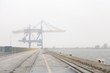 dans la brume un un porte container
