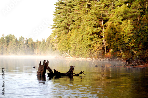 Photo: nebel am joe lake 2 nebel am joe lake 2