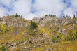 fall landscape