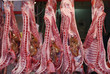 lamb carcases in the butcher's stall