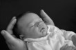 baby in hand