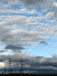power lines and electricity pylons in a field