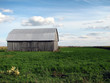 old wooden barn in the green field