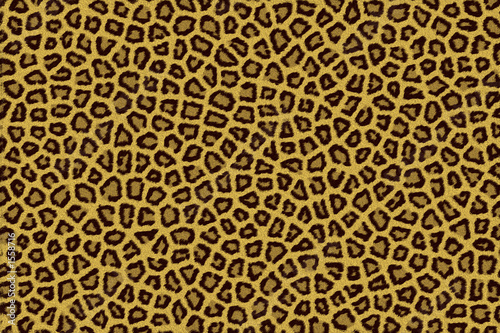 leopard fell fur