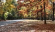 autumn colors