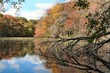 autumn colors