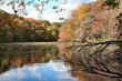 autumn colors