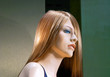 beautiful female dummy profile