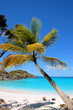 trunk bay beach