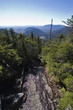 path up mount colden