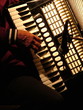 accordéon accordéon