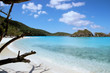 tropical beach