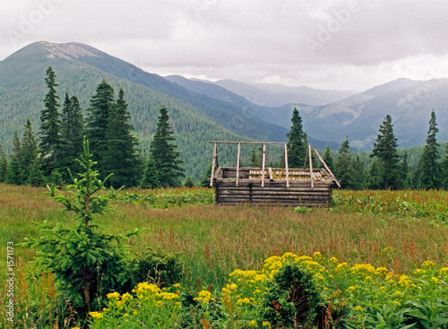 Photo: mountainous meadow 8 mountainous meadow 8