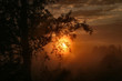 stimmung stimmung