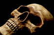 deathmatch