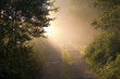 nebelweg