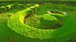 musical green garden- crop circle musical green garden- crop circle